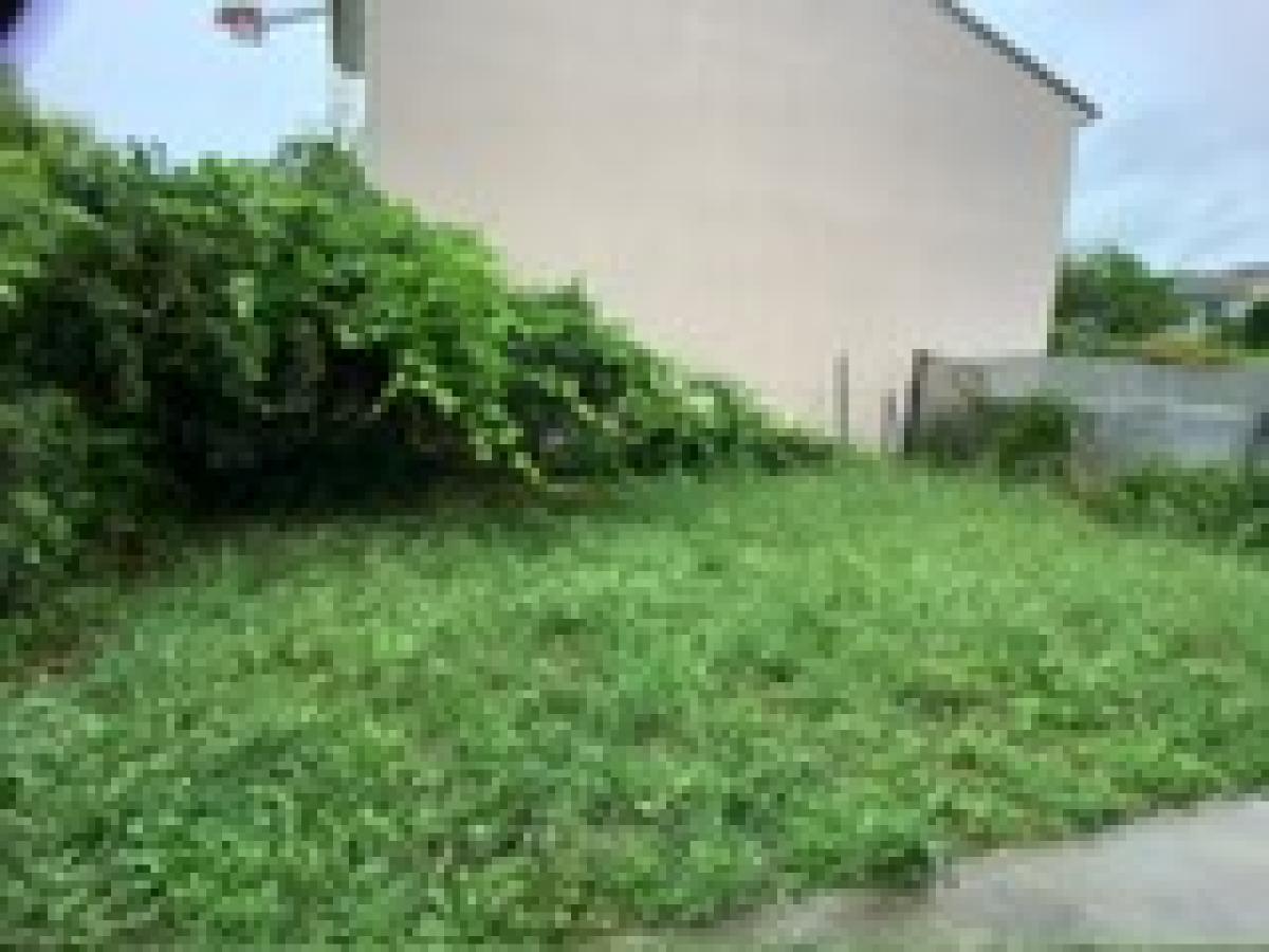 5 pièces - RDC - 0m² - 295 000 € - Photo #1