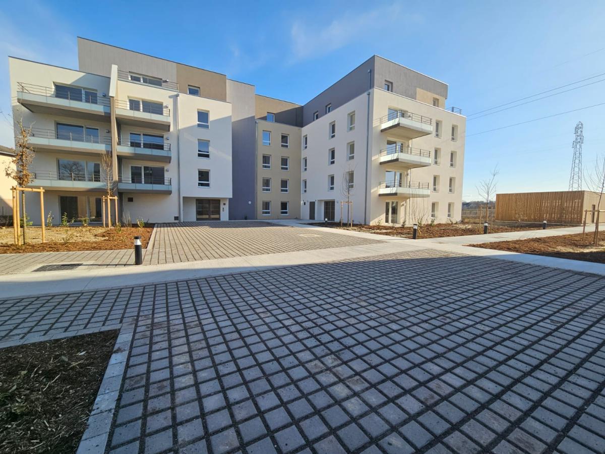 
																			1 pièce - 
																		RDC - 31m² - 563,63 € - Photo #2