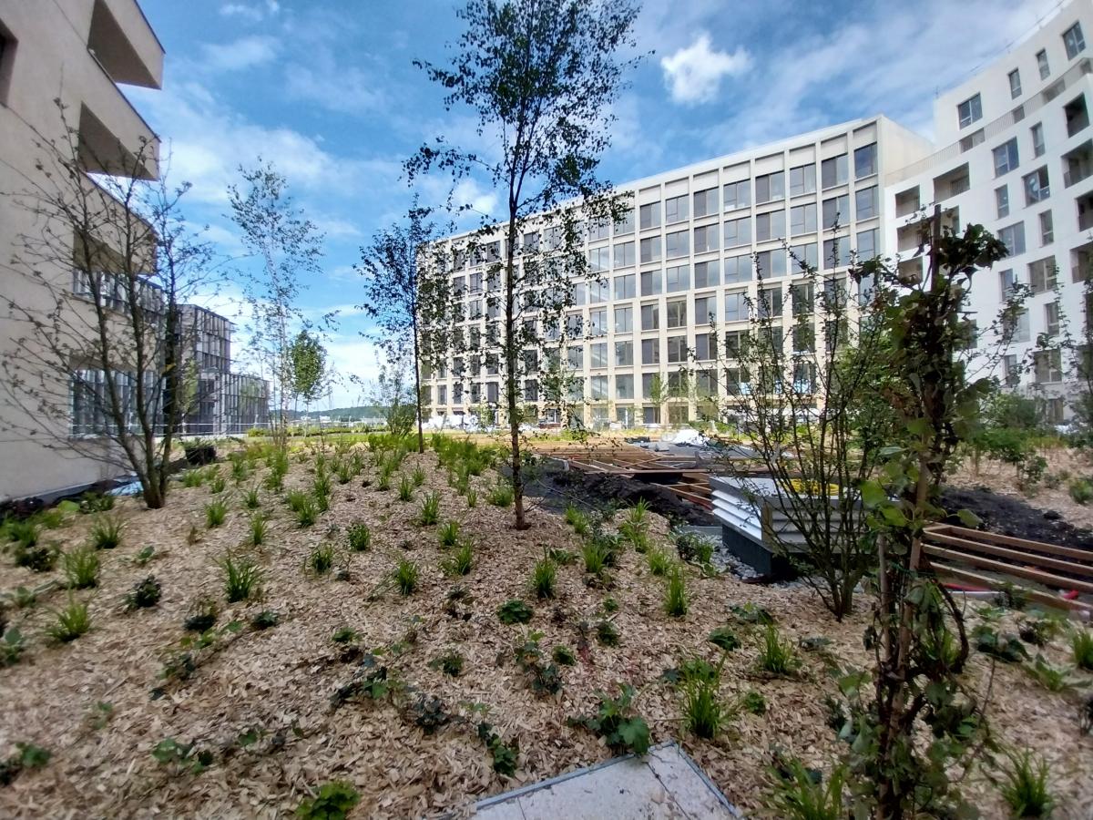 
																																							3 pièces - 
																																						7ème étage - 66m² - 897,47 € - Photo #4