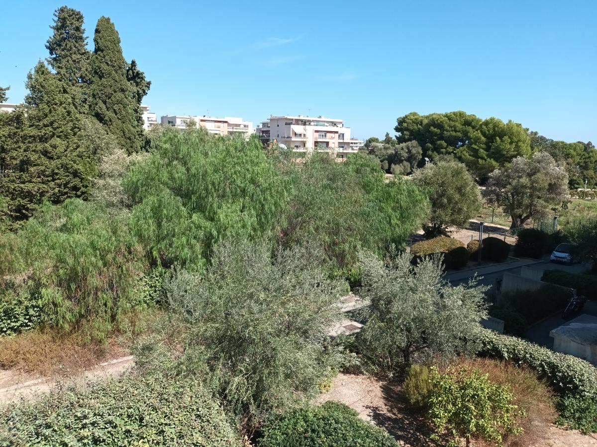 2 pièces - 2ème étage - 43m² - 912,36 € - Photo #6
