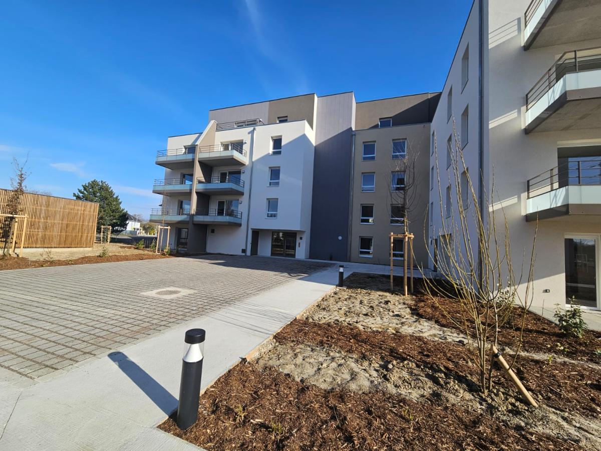 
																			1 pièce - 
																		RDC - 26m² - 484,93 € - Photo #2